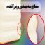 کاور لاین کینگ مدل Baleshti مناسب برای گوشی موبایل اپل iPhone X/Xs