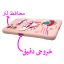 کاور لاین کینگ مدل AngelB مناسب برای گوشی موبایل سامسونگ Galaxy A22 4G